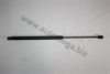 AUTOMEGA 3101320675 Gas Spring, boot-/cargo area